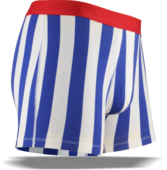 Blue Stripe Boxer Brief in Micro Modal